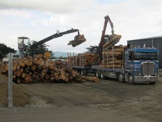 BUCKERIDGE WOOD FIBRE